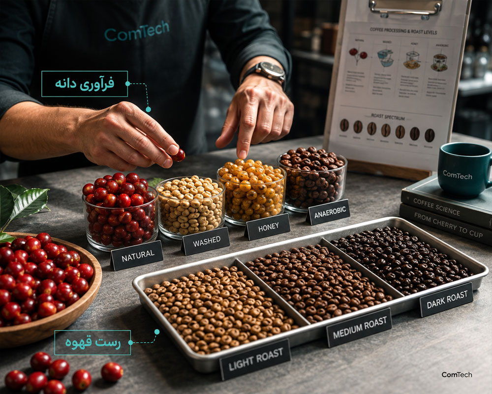 فرآوری و رست قهوه فرآوری و رست قهوه