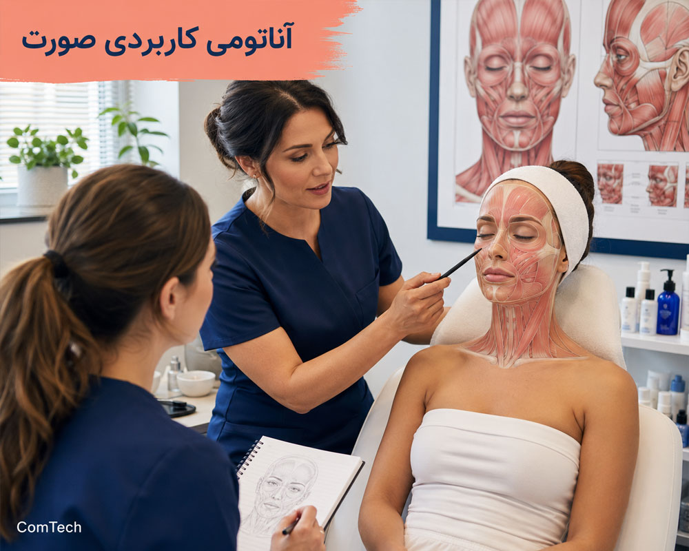 آموزش آناتومی عضلات صورت آموزش آناتومی عضلات صورت