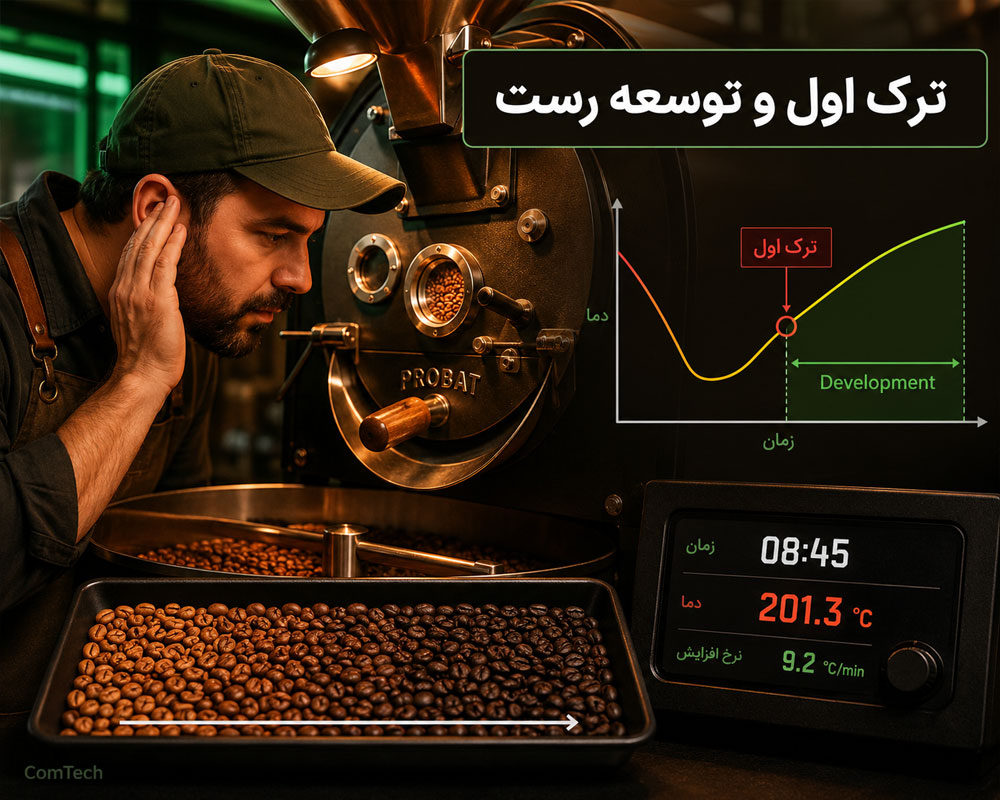 ترک اول و توسعه رست ترک اول و توسعه رست