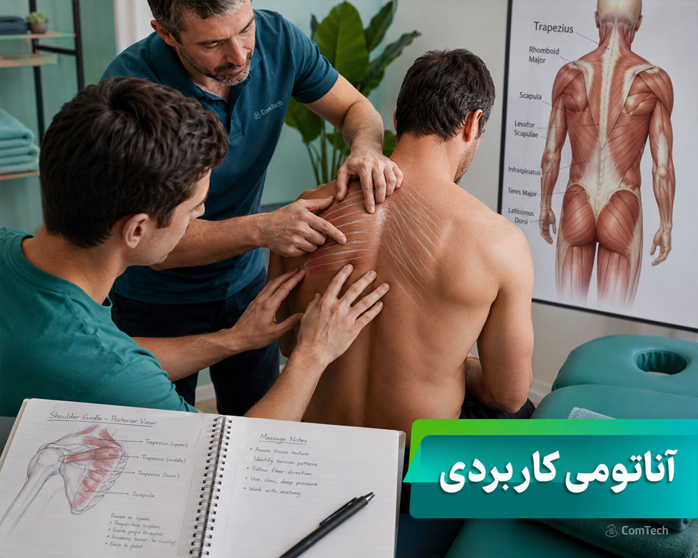 آموزش آناتومی کاربردی ماساژ