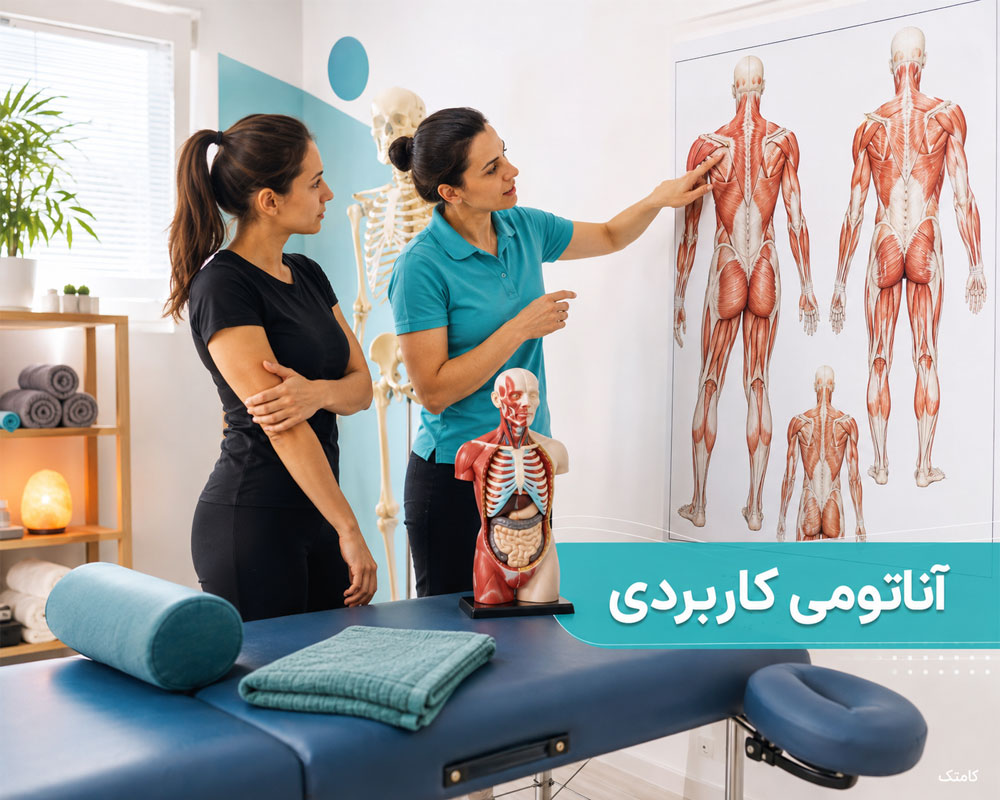آموزش آناتومی کاربردی ماساژ