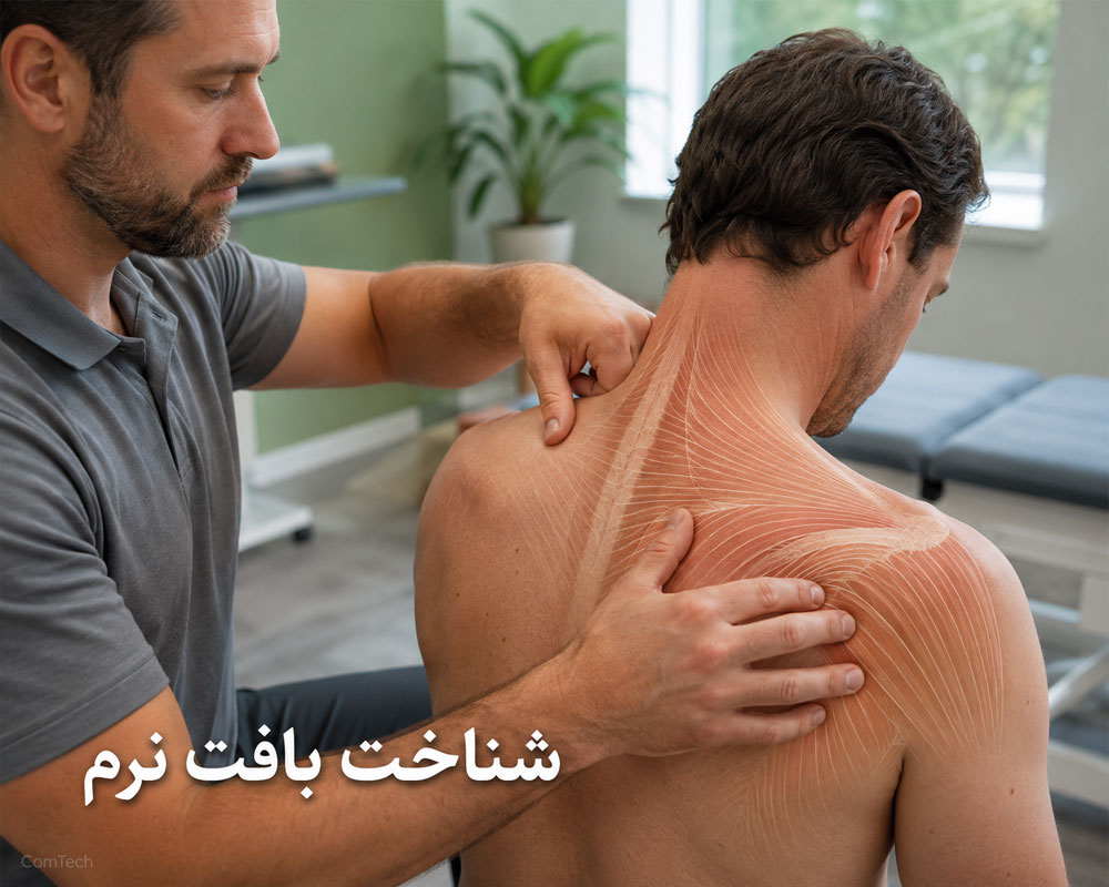 شناخت بافت نرم بدن